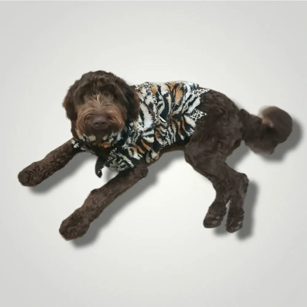 ciao ciao flintstone tiger dog costume Large
